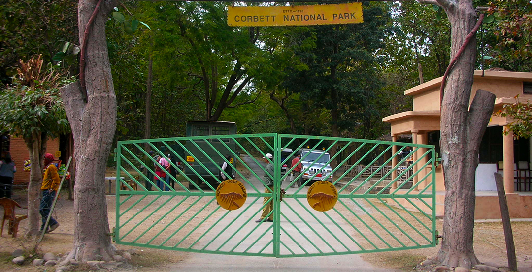 Jim Corbett Dhikala Zone